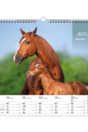 Alternative view of Stenski slikovni kolendar Konji