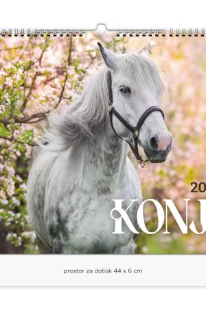 Stenski slikovni koledar Konji