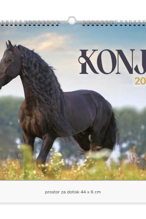 Stenski slikovni kolendar Konji