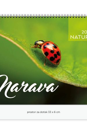 Stenski slikovni kolendar Narava (dvodelni)